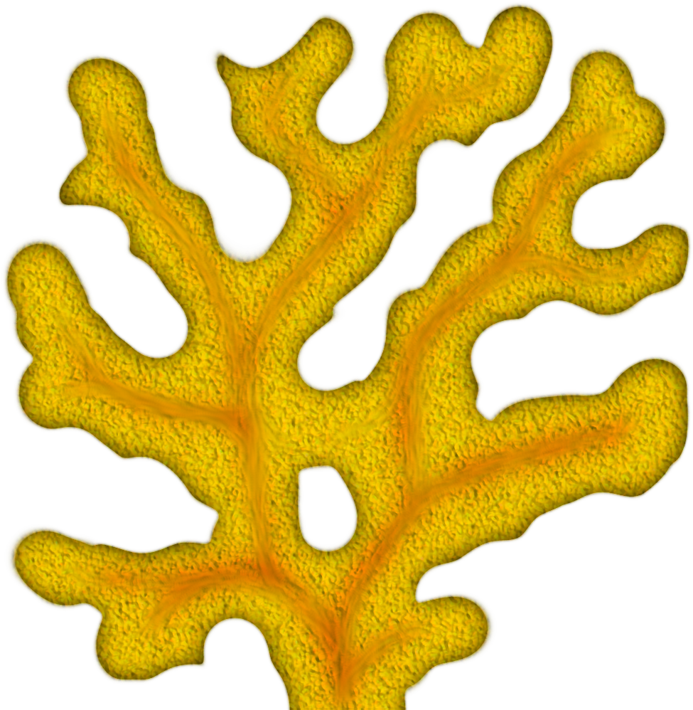Coral Tree Cliparts - Sea Coral Clip Art - Png Download (1024x1024), Png Download