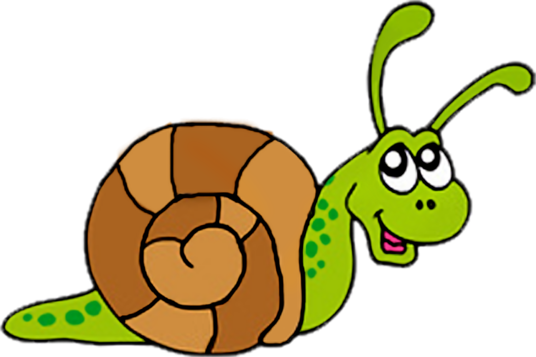 Snail Clip Art - Clip Art Picture Of Snail - Png Download (1051x700), Png Download