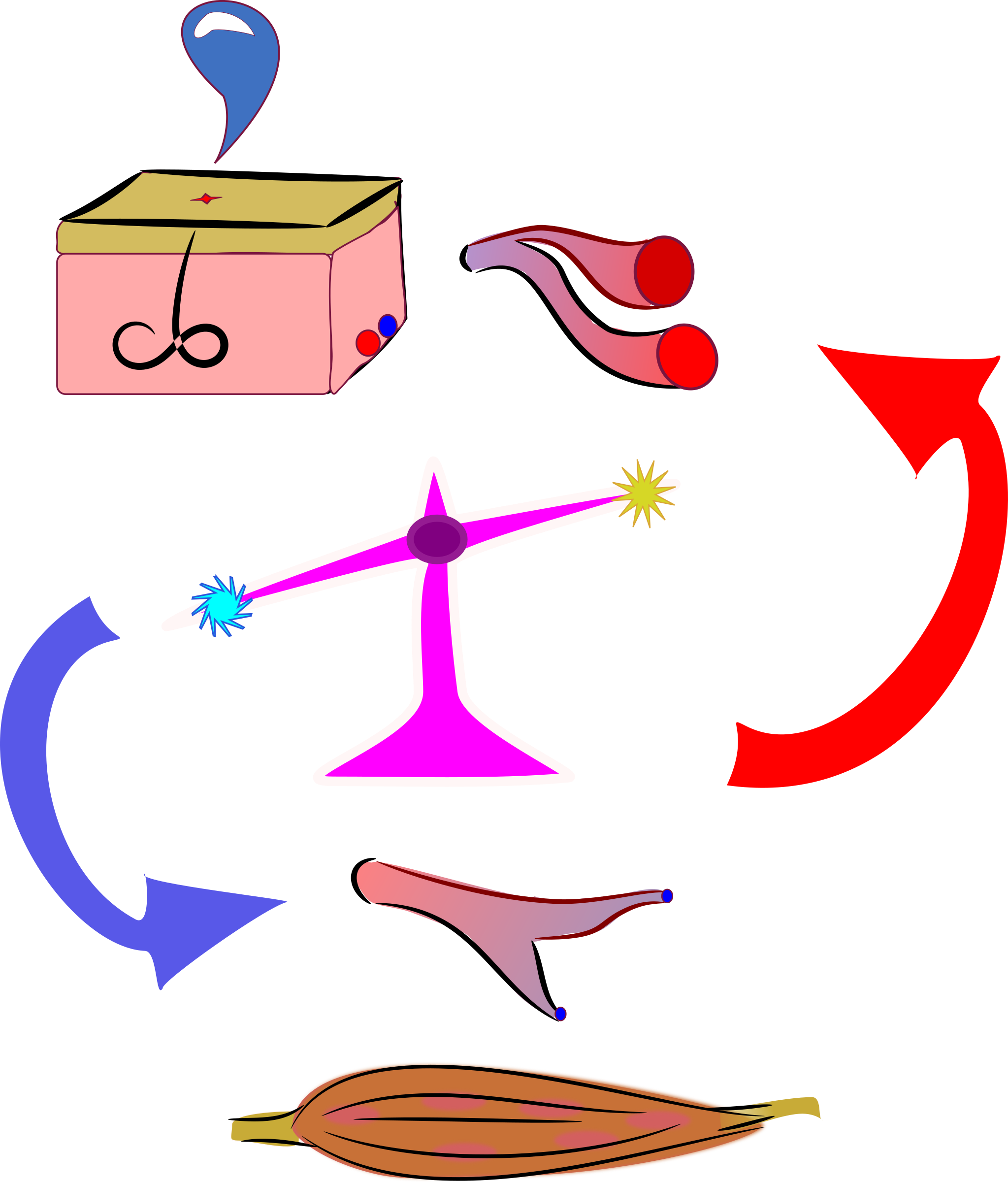 Anatomy Physiology Human Body Drawing Cartoon - Thermoregulation Png Clipart (640x750), Png Download