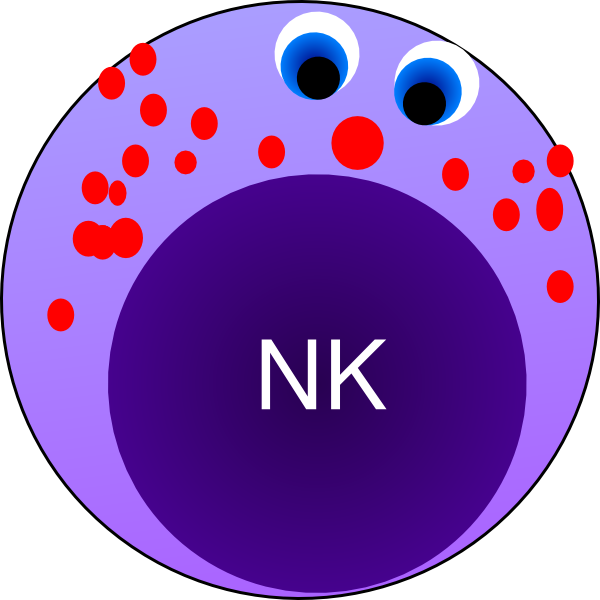 Nk Cell Clip Art - Natural Killer Cells Clipart - Png Download (600x600), Png Download