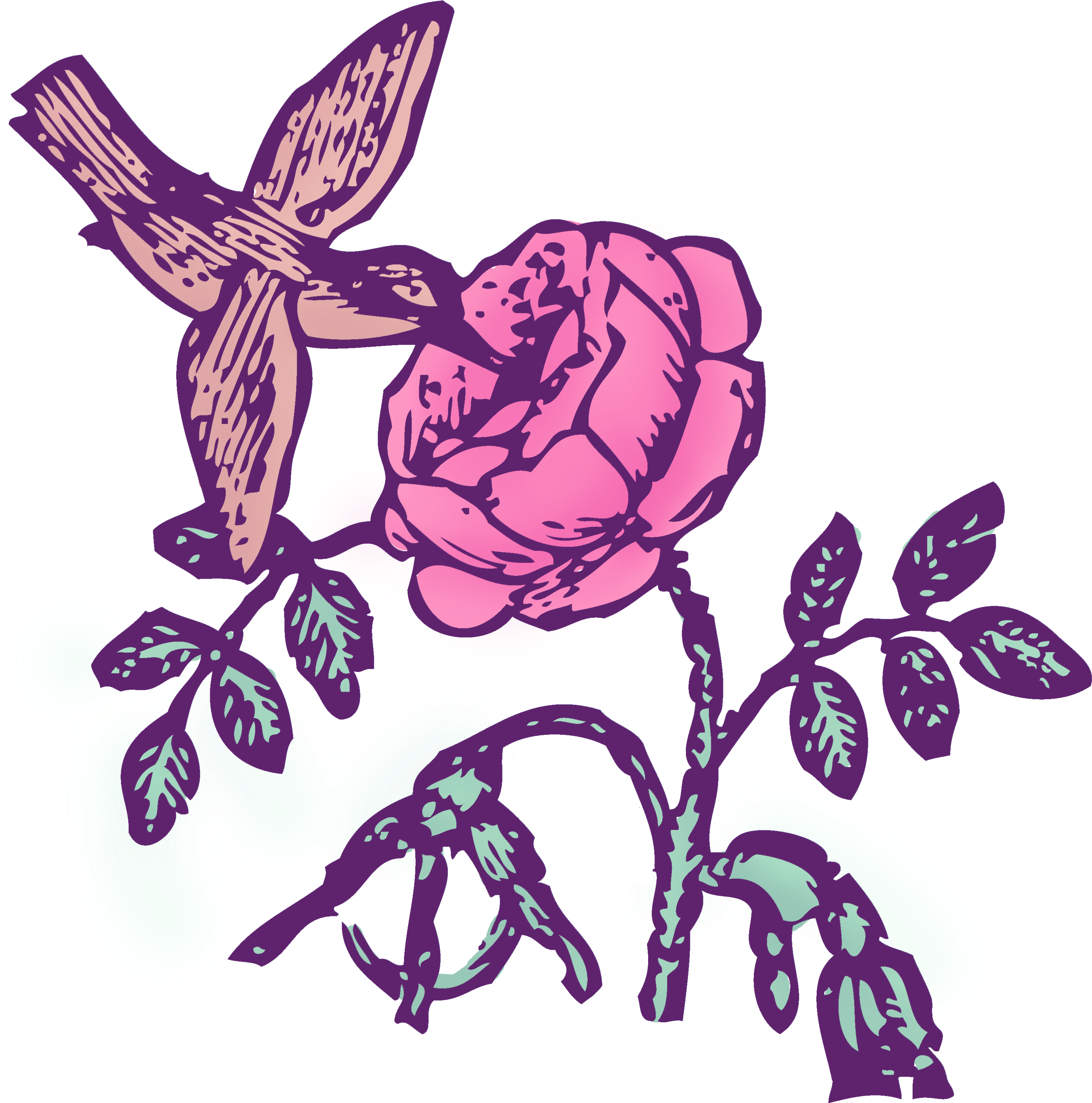 Vintage Hummingbird Rose Color Clip Art - Png Download (3208x3208), Png Download