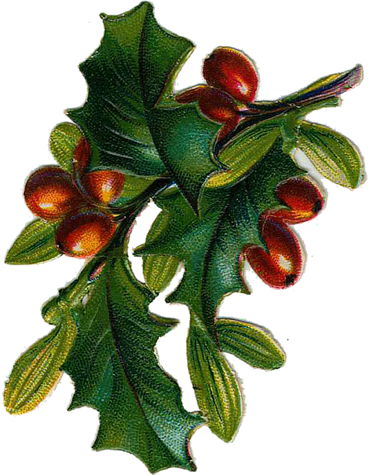 Free Victorian Christmas Tree Clip Art - Vintage Christmas Tree Graphic - Png Download (590x750), Png Download