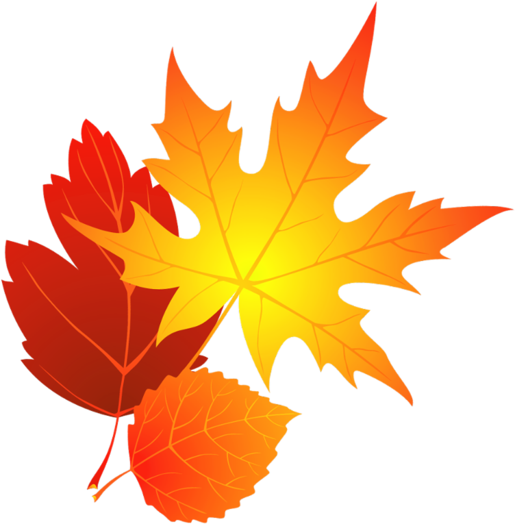 Autumn Leaves Clip Art - Clipart Autumn Leaves - Png Download (600x595), Png Download