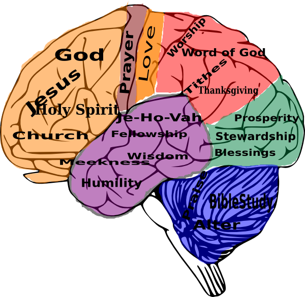 Brain Clip Art - Png Download (600x585), Png Download