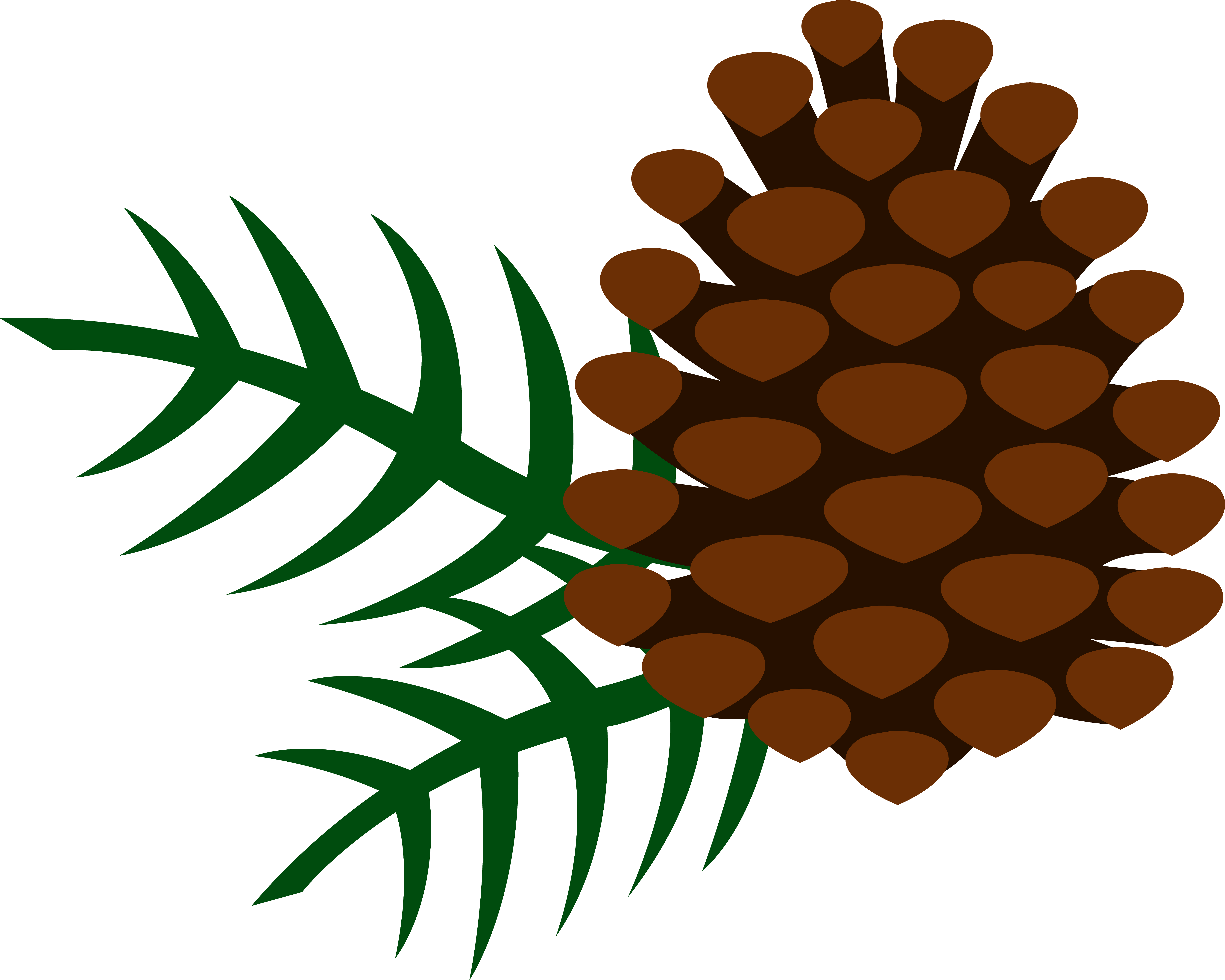 Free Clip Art Pine Trees - Pine Cone Clipart Png Transparent Png (6543x5237), Png Download