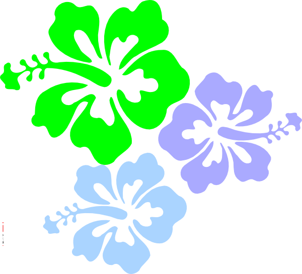 Free Hibiscus Flower Template - Hibiscus Flower Print Out Clipart (600x545), Png Download