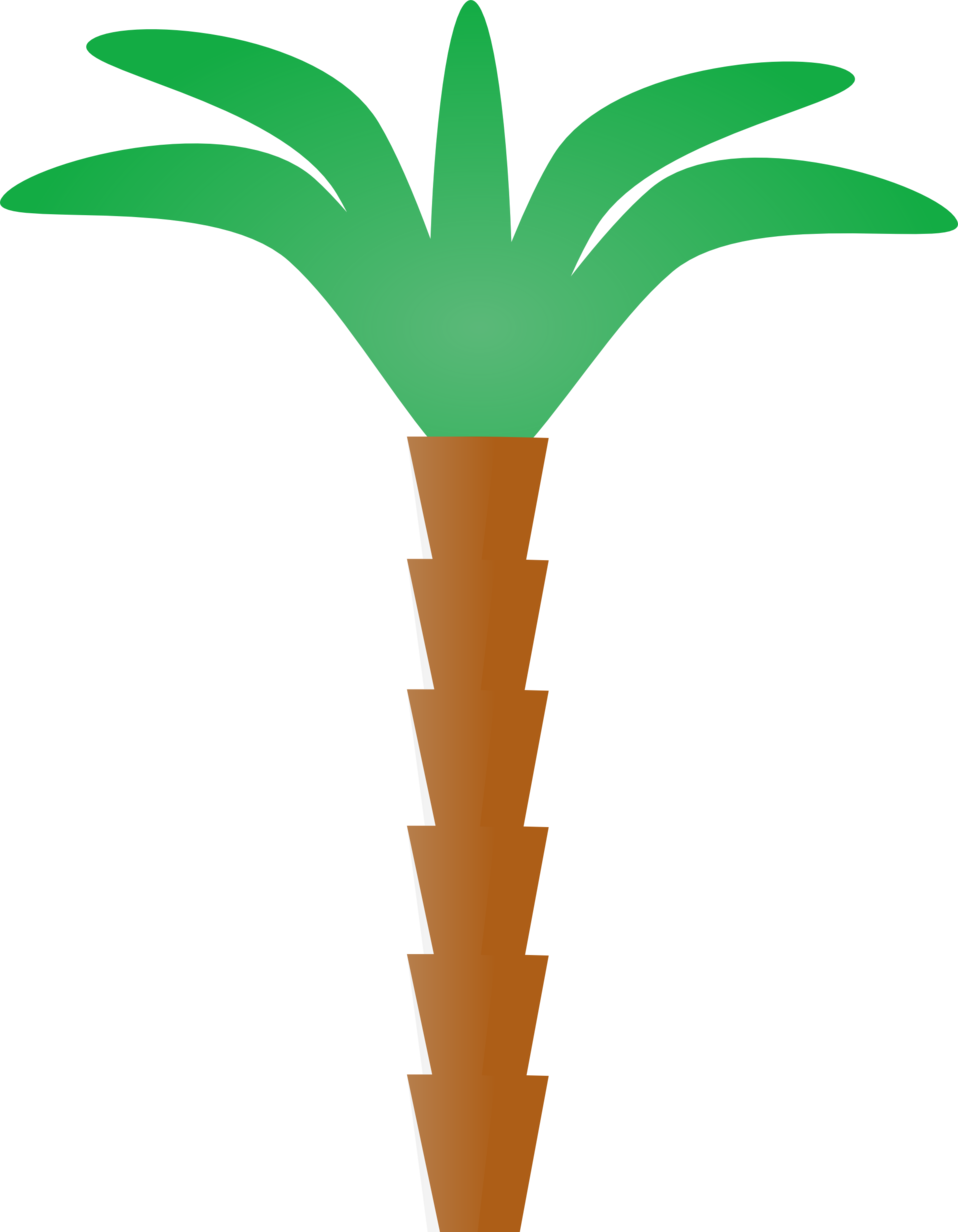 All Photo Png Clipart - Easy Cartoon Palm Trees Transparent Png (583x749), Png Download