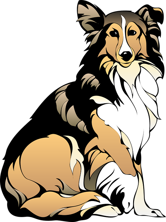 Top 91 Dog Clip Art - Collie Dog Clip Art - Png Download (480x640), Png Download