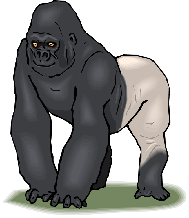 Free Gorilla Clipart - Things That Begins With The Letter G - Png Download (652x750), Png Download