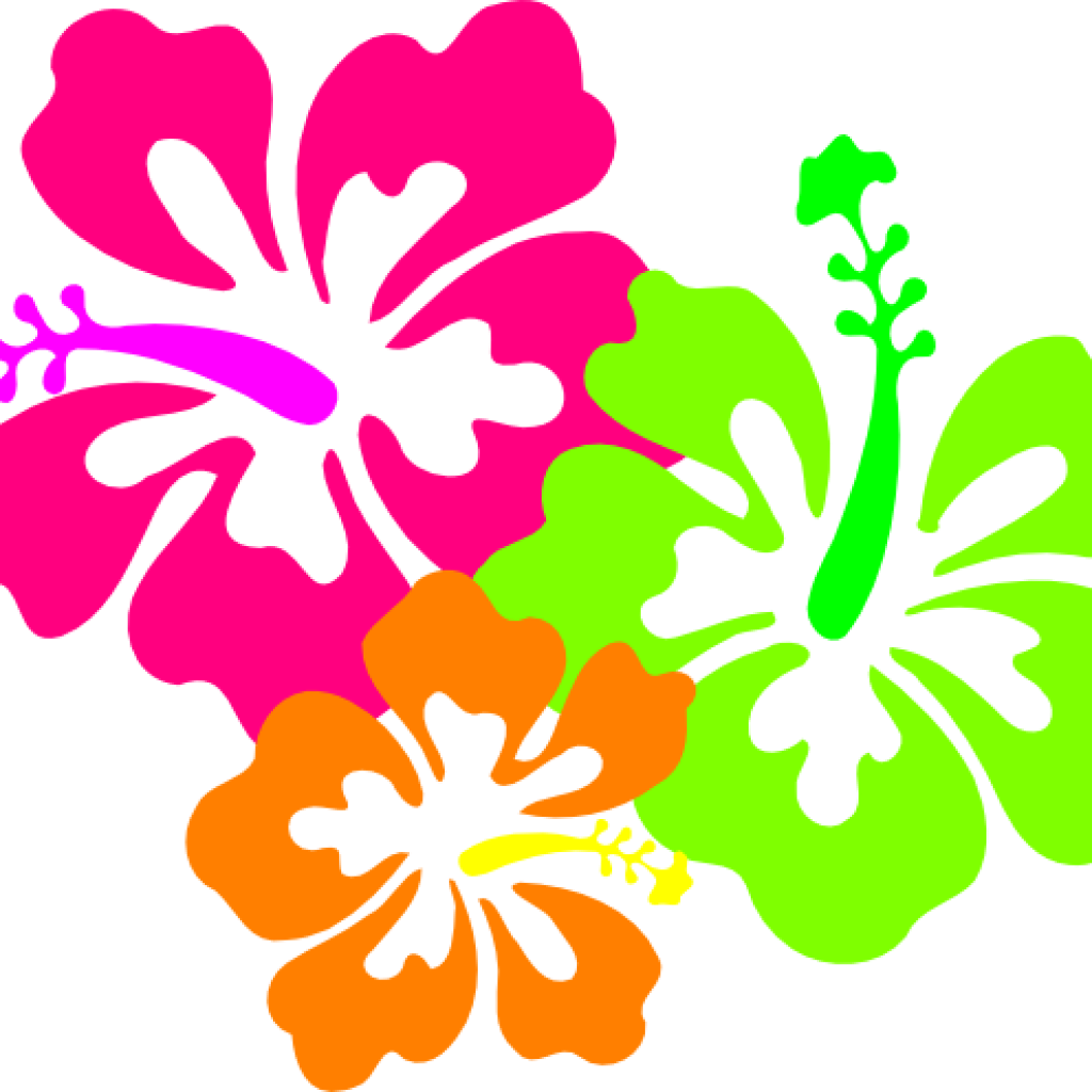 Free Hawaiian Clip Art Hawaiian Clipart Clipart Panda - Hibiscus Clip Art - Png Download (1024x1024), Png Download