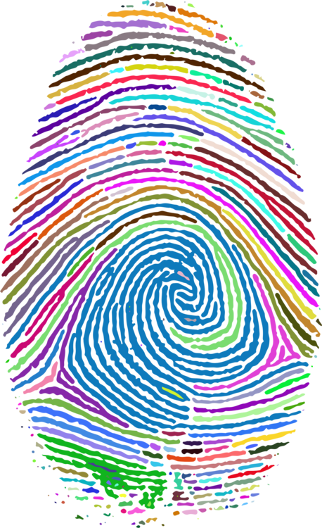Fingerprint Computer Icons Thumb Fingerabdruckscanner - Fibonacci Fingerprint Clipart (458x750), Png Download