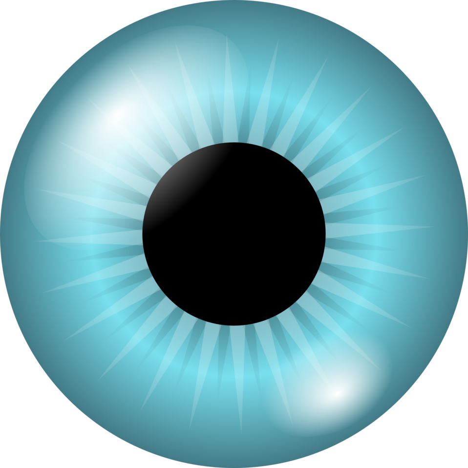 Download Anatomy Clipart - Big Eyeball Tile Coaster - Png Download (800x800), Png Download