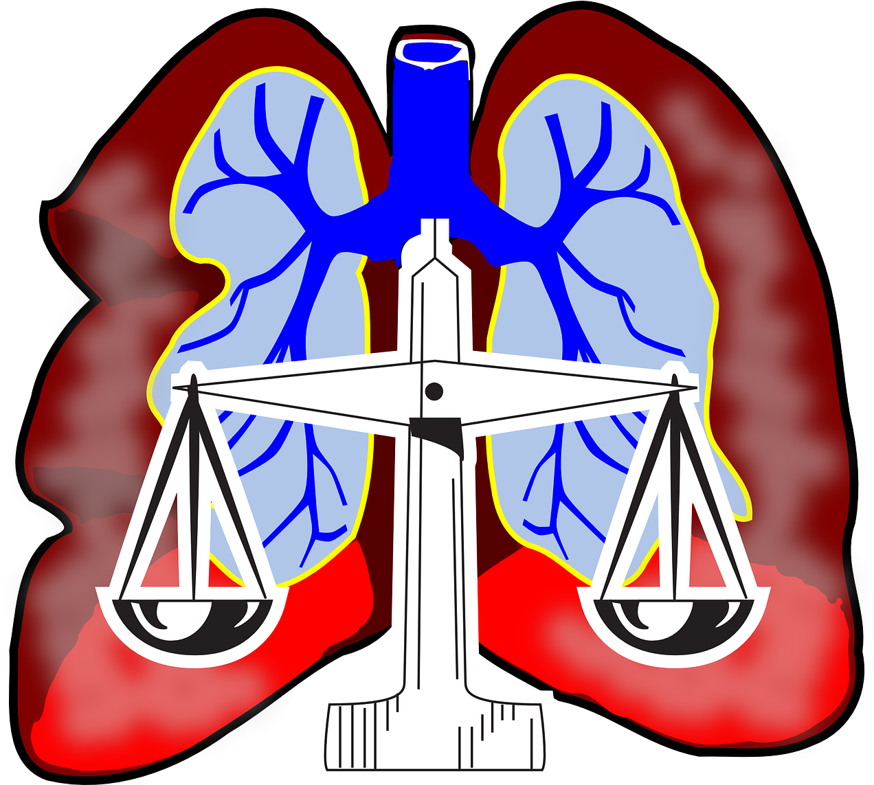 Lungs Clip Art - Png Download (600x550), Png Download