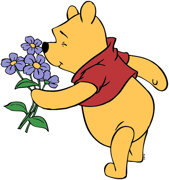 Winnie The Pooh Clipart Flower - Winnie The Pooh Smelling - Png Download (542x576), Png Download