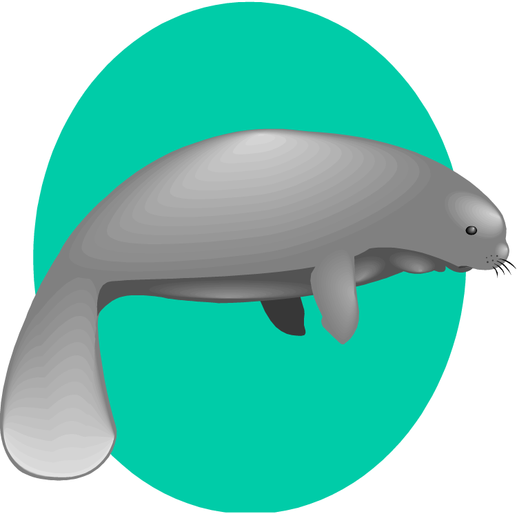 Free Manatee Clipart - Clip Art - Png Download (750x745), Png Download