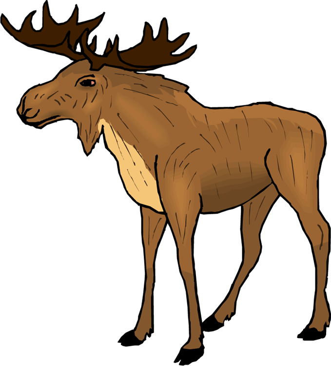 Moose Clipart Cartoon Free Clipart Images - Como Se Dice Alce En Ingles - Png Download (679x750), Png Download