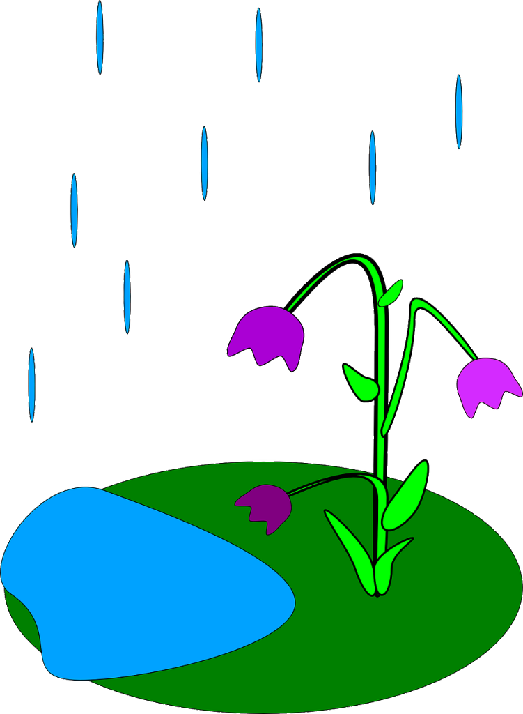 April Showers Bring May Flowers Clip Art - Rainy Flowers Clipart - Png Download (513x700), Png Download