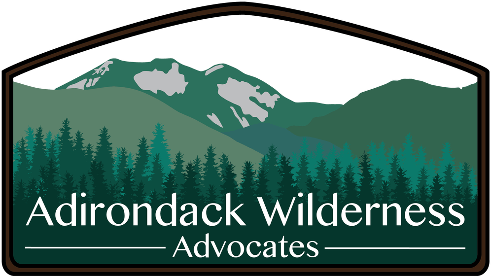 Boreas Ponds Wilderness Advocate Will Hike To Apa - Adirondack Mountains Clipart (1023x596), Png Download