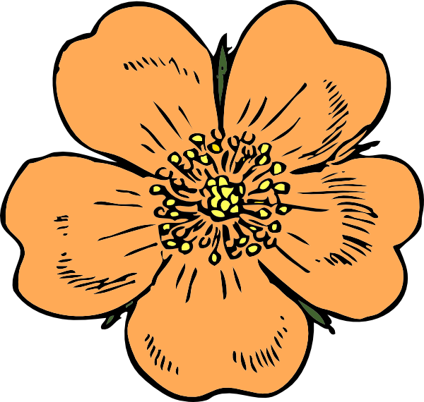 Peach Large Size Clipart Free Clip Art Images - Peach Blossom Clip Art - Png Download (600x570), Png Download