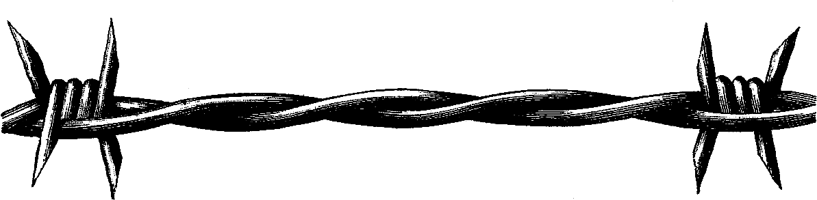 Barbed Wire Border Clip Art - Barbwire Png Transparent Png (1383x365), Png Download