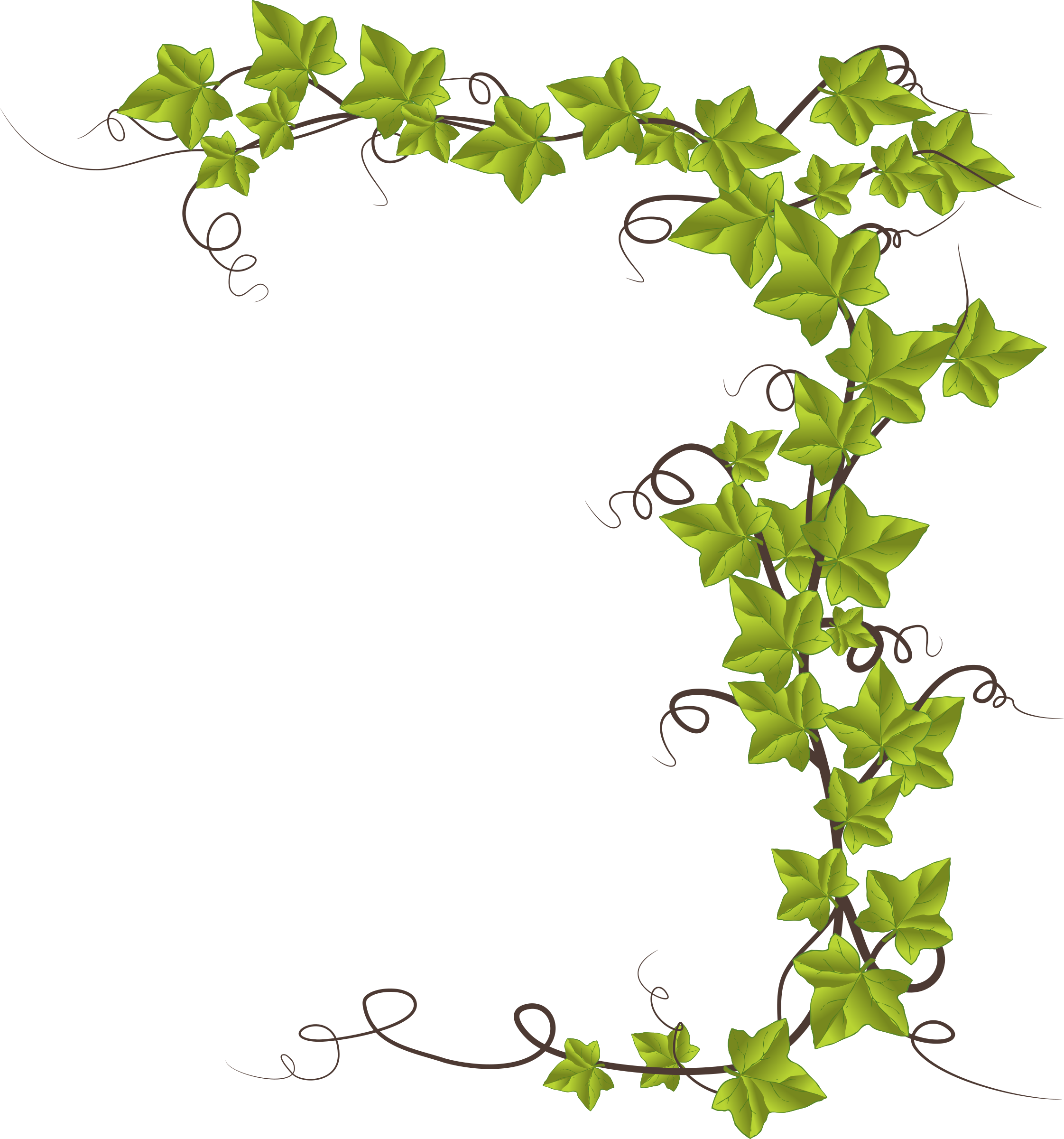 Big Image - Monkeyshine Wine Accio Wine! And I Solemnly Swear...combo Clipart (2243x2400), Png Download