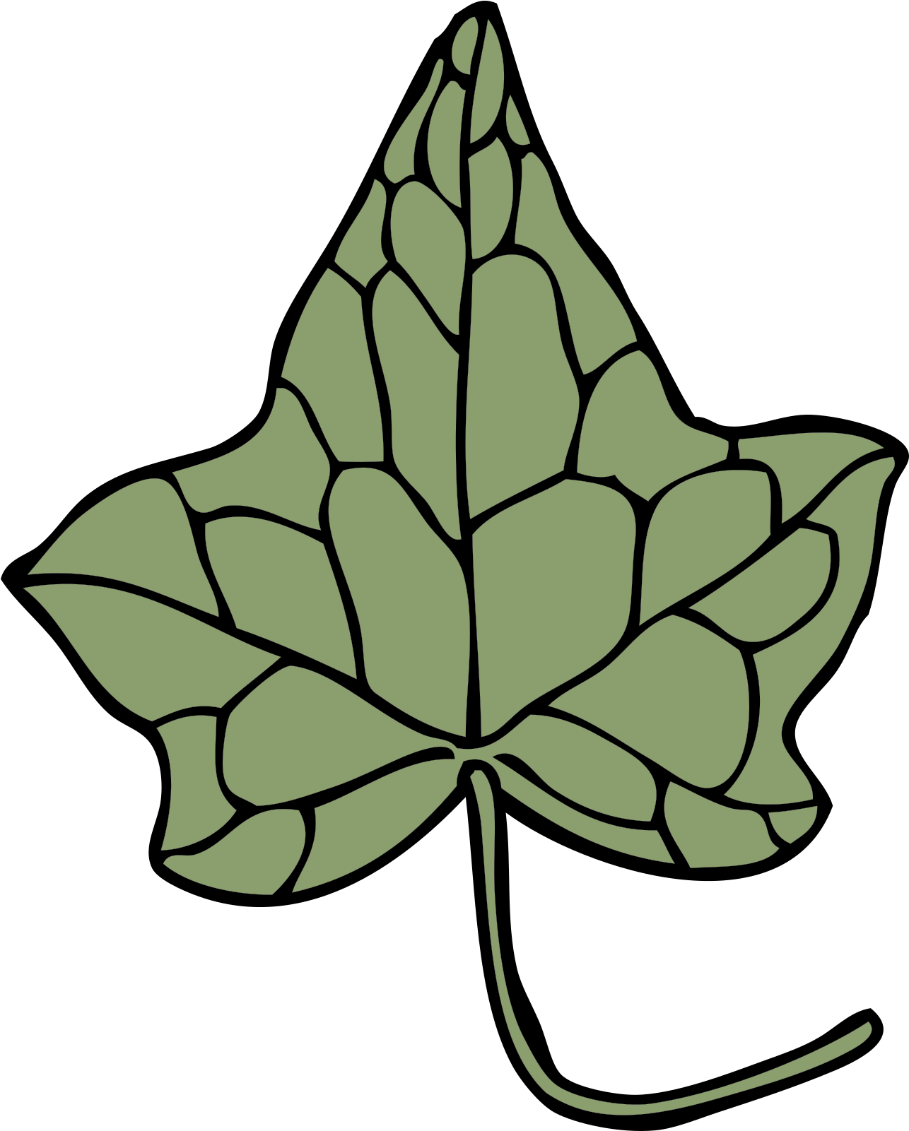 Ivy Drawing Leaf Vine Araliaceae - Ivy Leaf Clip Art - Png Download (603x750), Png Download