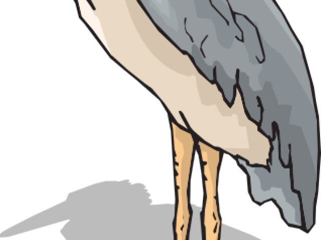 Bird Clipart (640x480), Png Download