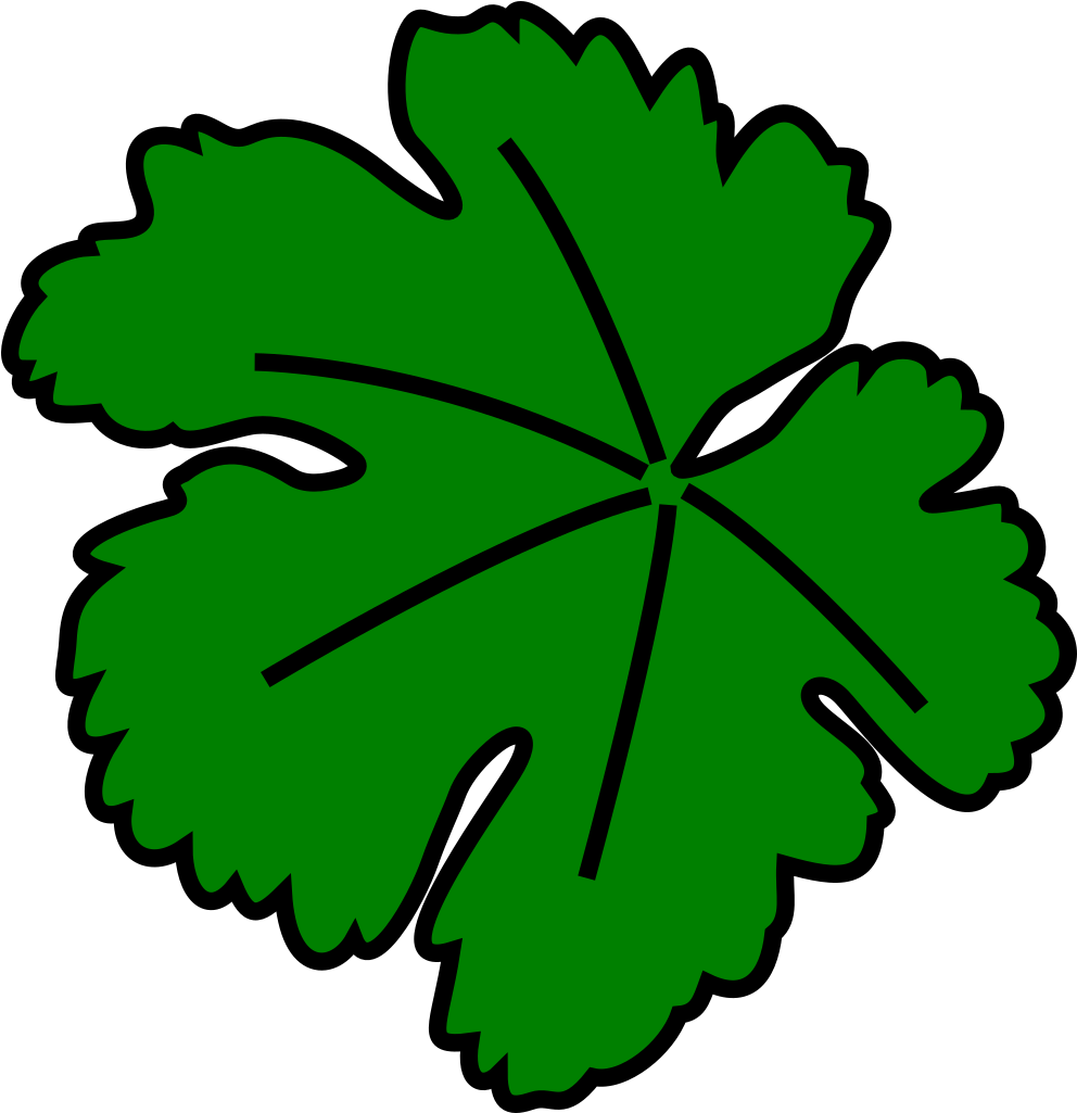 Vine-leaf Clip Art - Leaf Clip Art - Png Download (576x595), Png Download