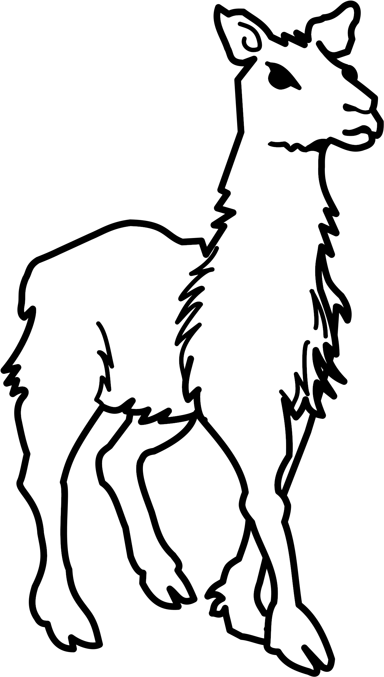 Llama Alpaca Evolution Drawing Computer Icons - Llamas Black And White Clipart - Png Download (446x750), Png Download