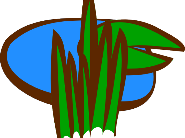 Lawn Clipart Swamp Grass - Marsh Clip Art - Png Download (640x480), Png Download