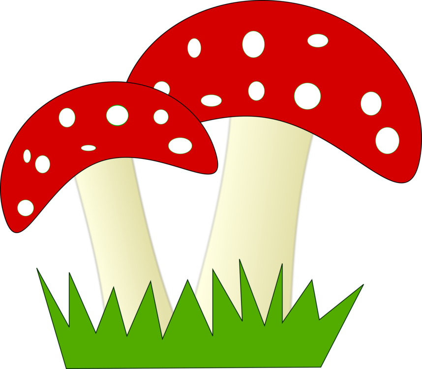Mushroom Png Clipart Transparent Png (823x720), Png Download