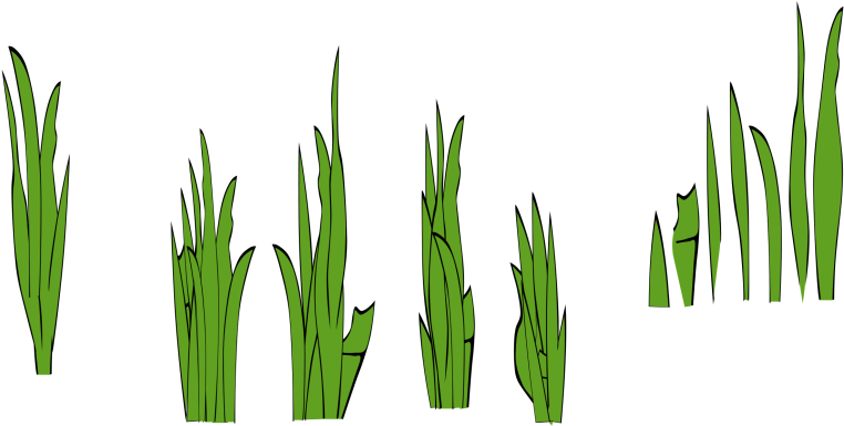 Free Clip Art Grass - Grass Clip Art - Png Download (830x415), Png Download