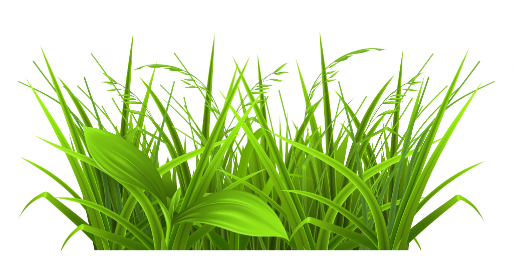Free Download Grass Images Clip Art 6 Full Size - Grass Clipart - Png Download (1024x519), Png Download