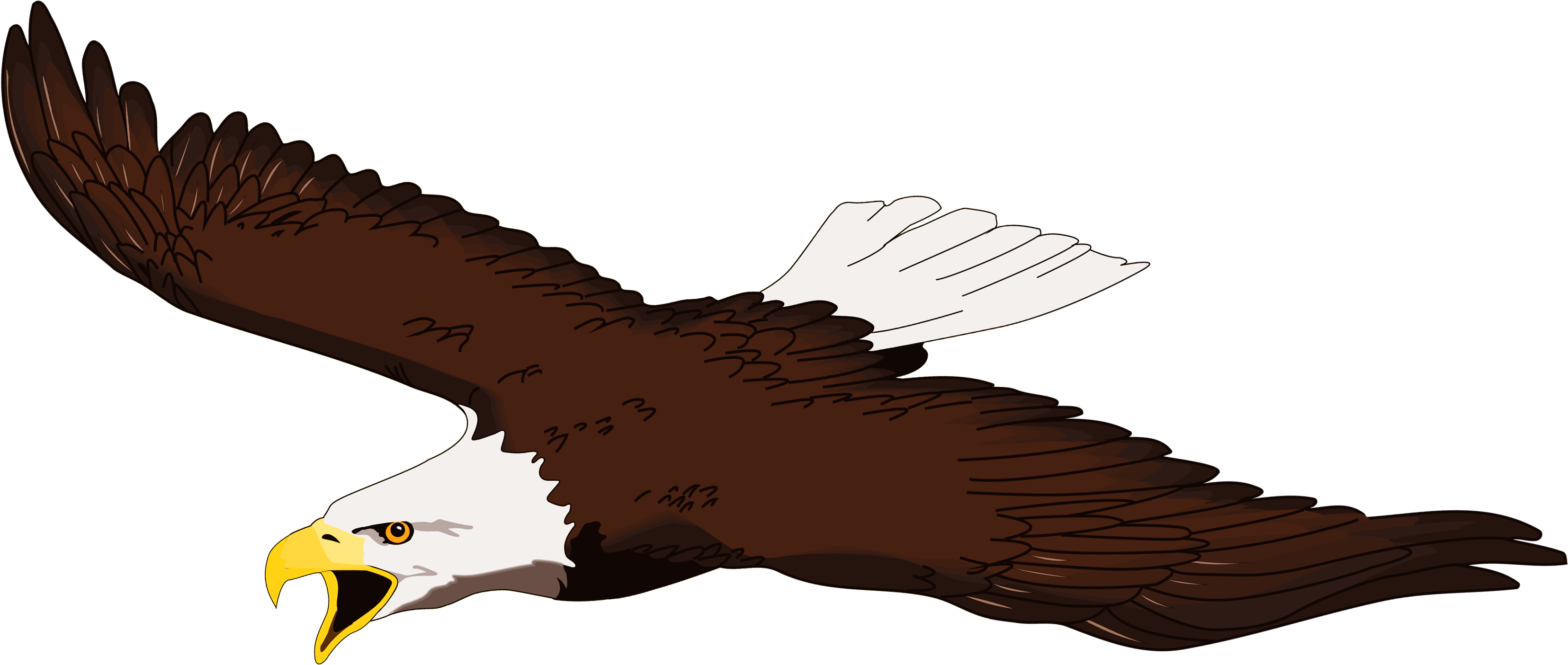 Flying Eagle Clip Art - Png Download (3407x1678), Png Download