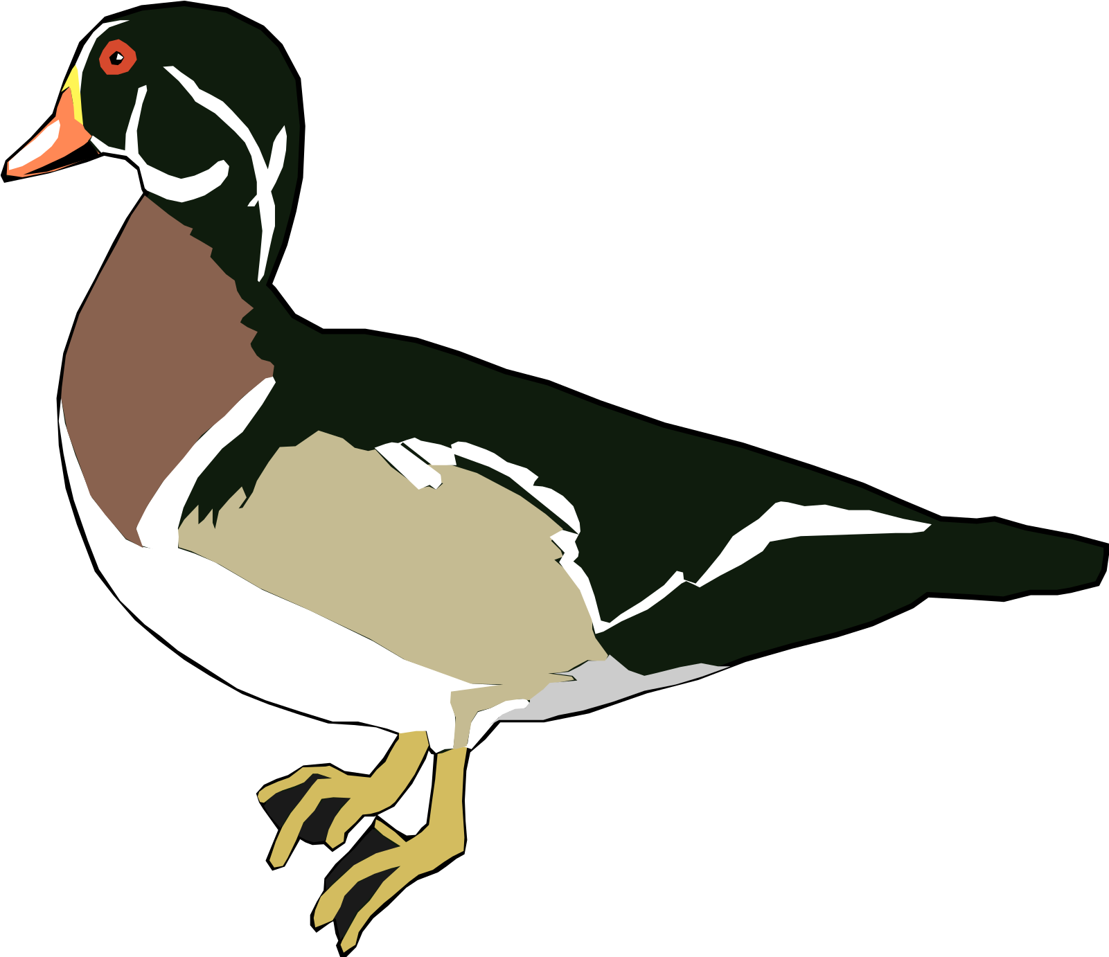 Wood Duck - بطة Png Clipart (1135x980), Png Download
