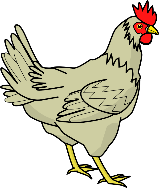 Chicken Png Images, Free Chicken Picture Download - Chicken Clipart Transparent Png (674x800), Png Download