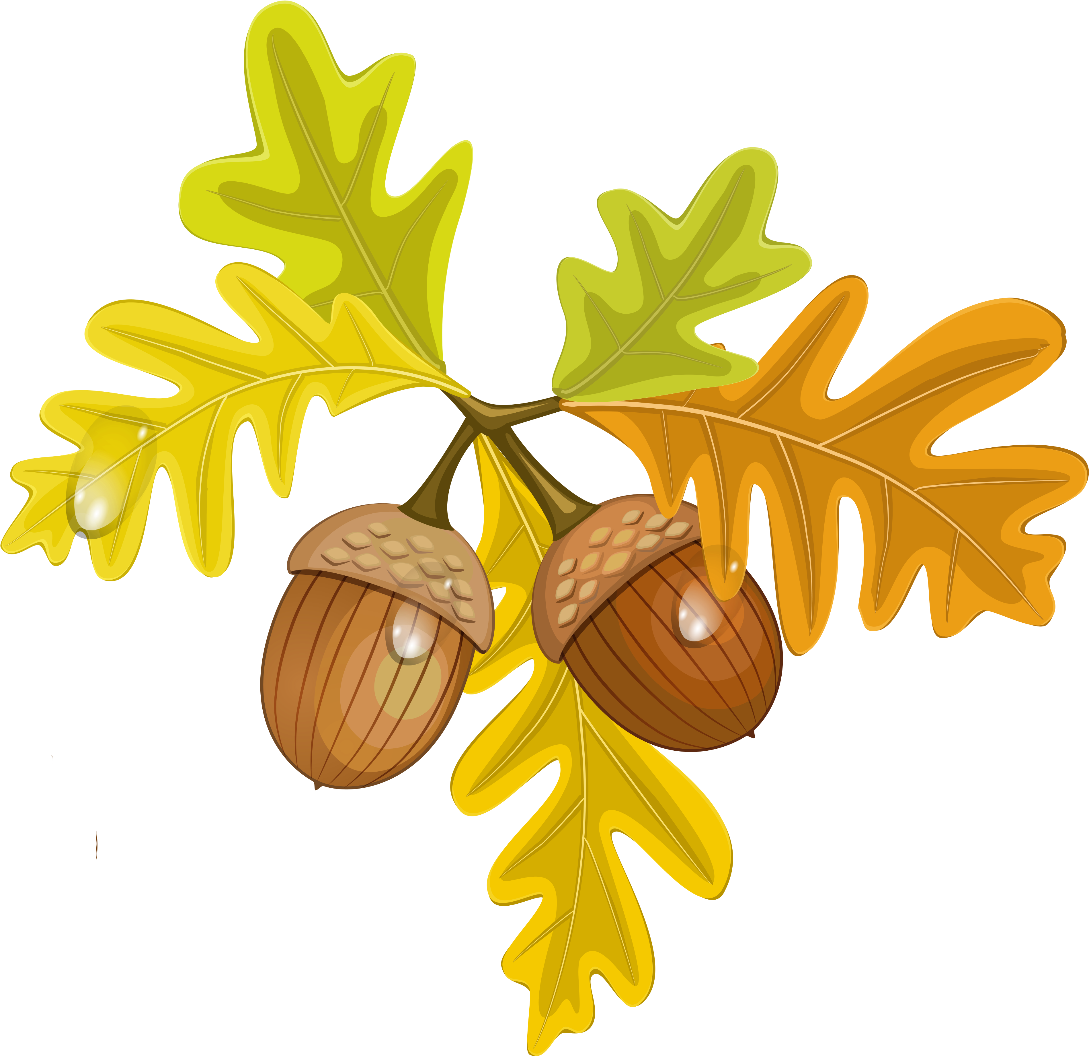 Transparent Fall Leaves With Acorns - Transparent Background Fall Leaf Clipart - Png Download (4110x3898), Png Download