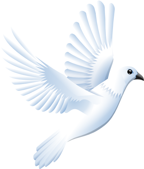 Colomba Peace Dove 555px - Transparent Dove Vector Png Clipart (555x555), Png Download