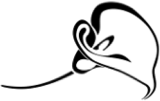 Calla Lily Clipart Border - Calla Lily Tattoo - Png Download (640x480), Png Download