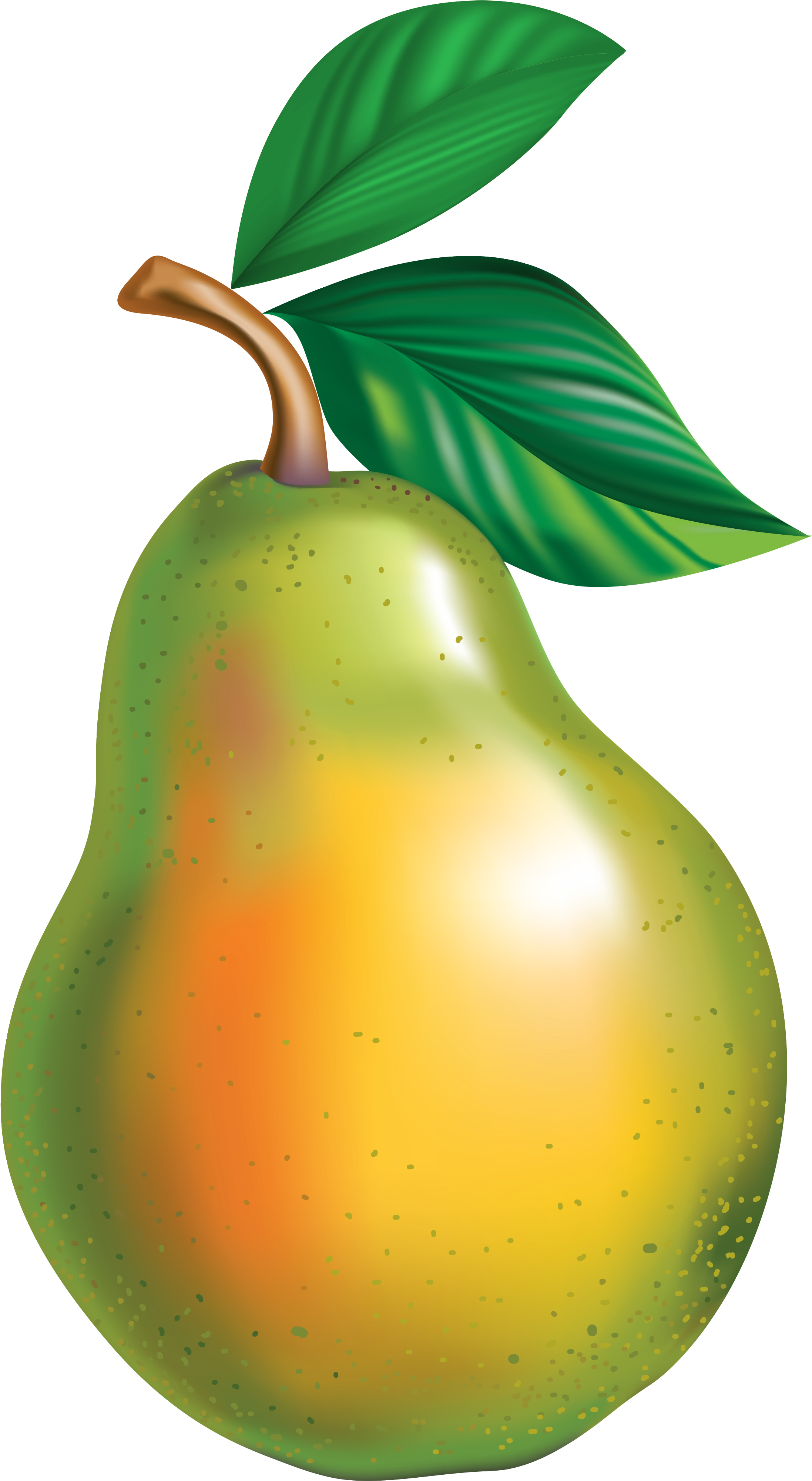 Pear Png Clipart Picture - Armut Png Transparent Png (2367x4144), Png Download