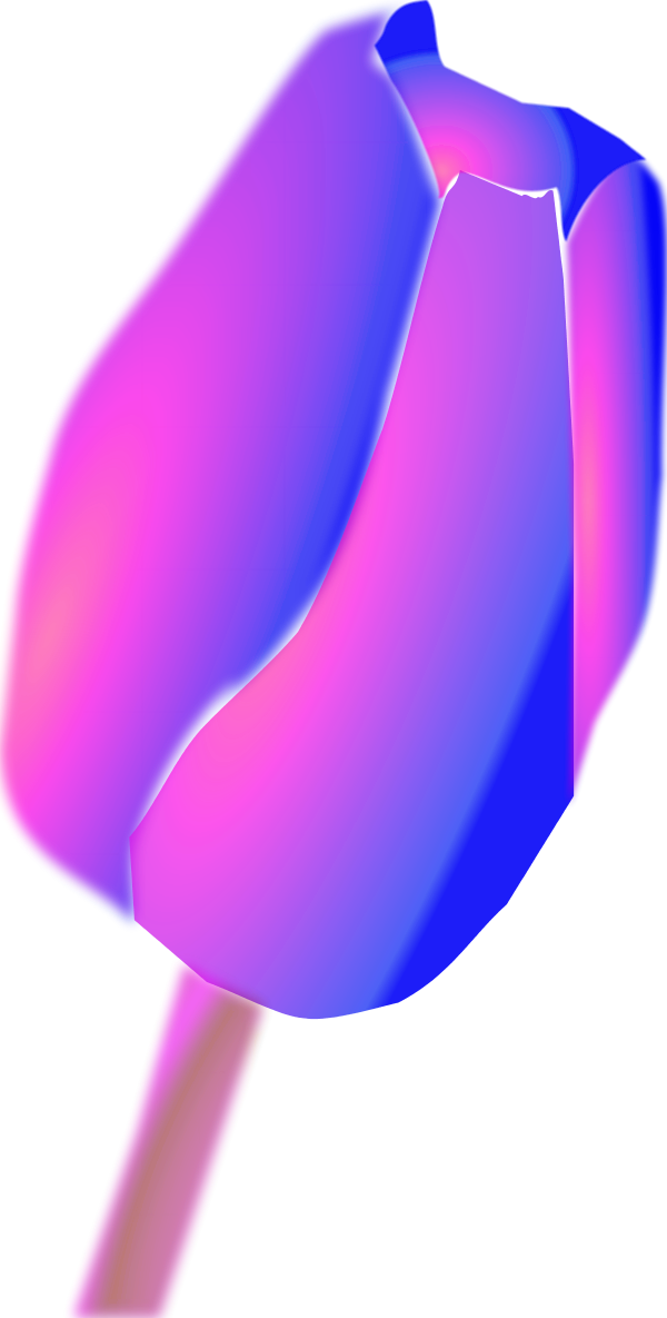 Tulip Flower Clip Art - Flower - Png Download (600x1185), Png Download