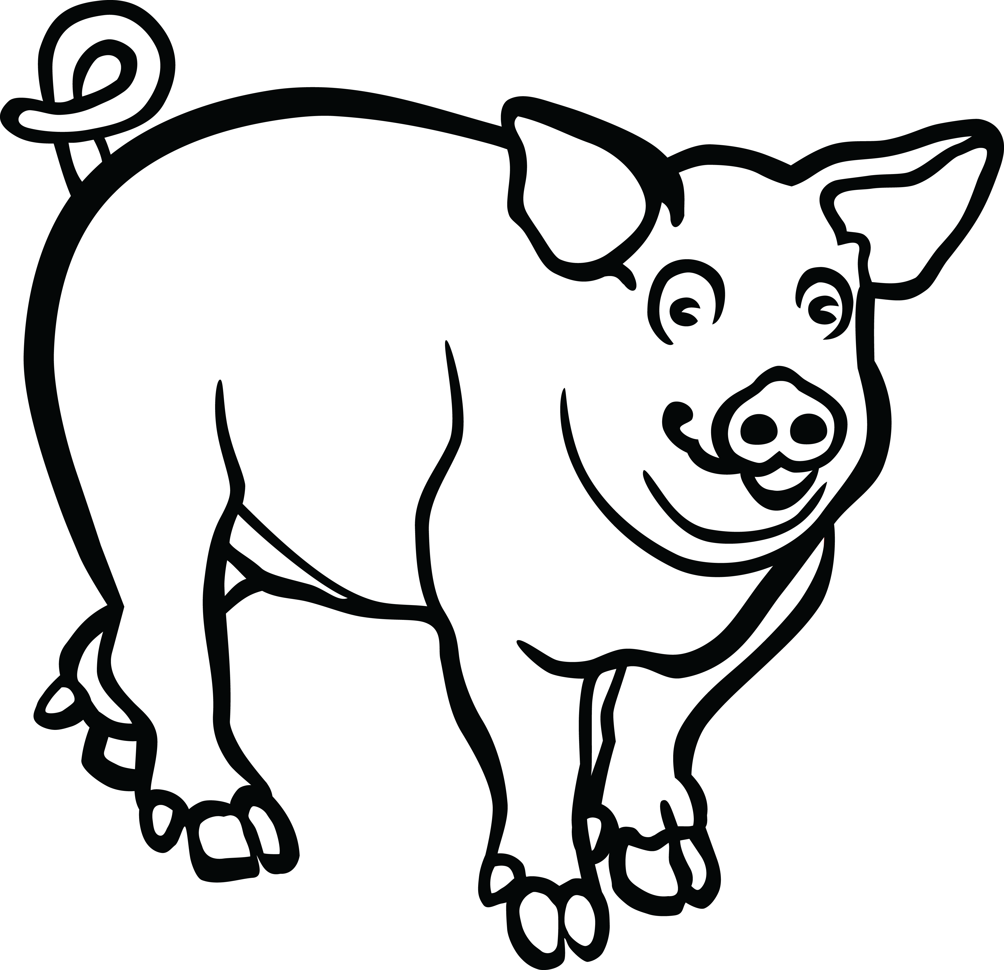 Download Wild Boar Line Art Drawing Black And White Pig Lineart