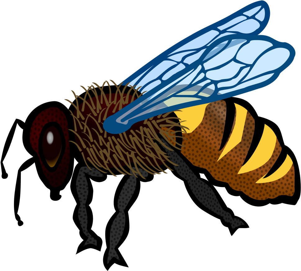 Bee - Bee Pictures To Colour Clipart (1000x1000), Png Download