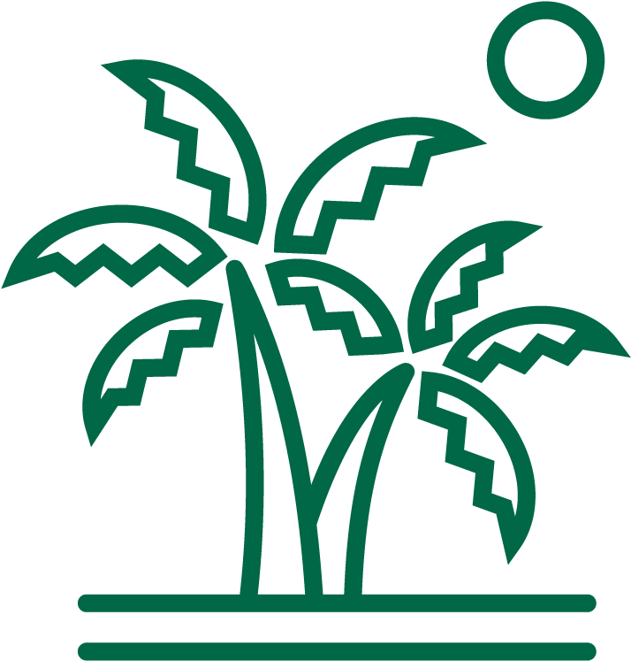 Line Drawing Of Palms On An Island With The Sun In - Illustration Clipart (1281x800), Png Download