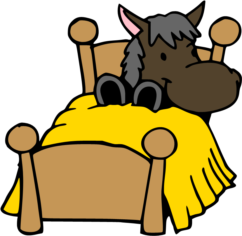 Courtyard Farm Ltd Home Farm Stables Hill Farm Stables - Horse In Bed Cartoon Clipart (852x829), Png Download
