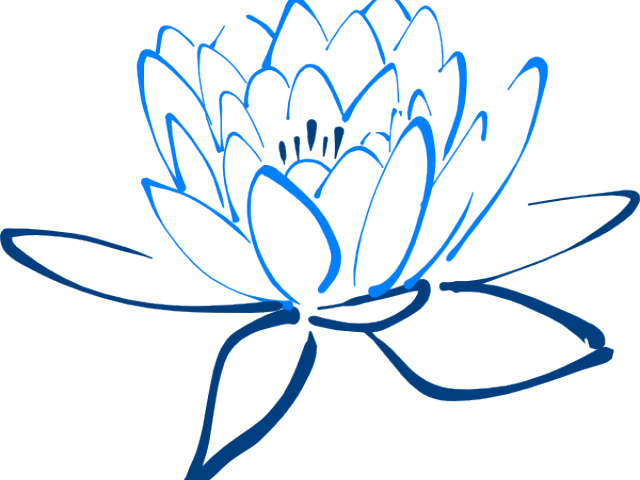 Blue Rose Clipart Blue Lotus - Lotus Png Transparent Png (640x480), Png Download