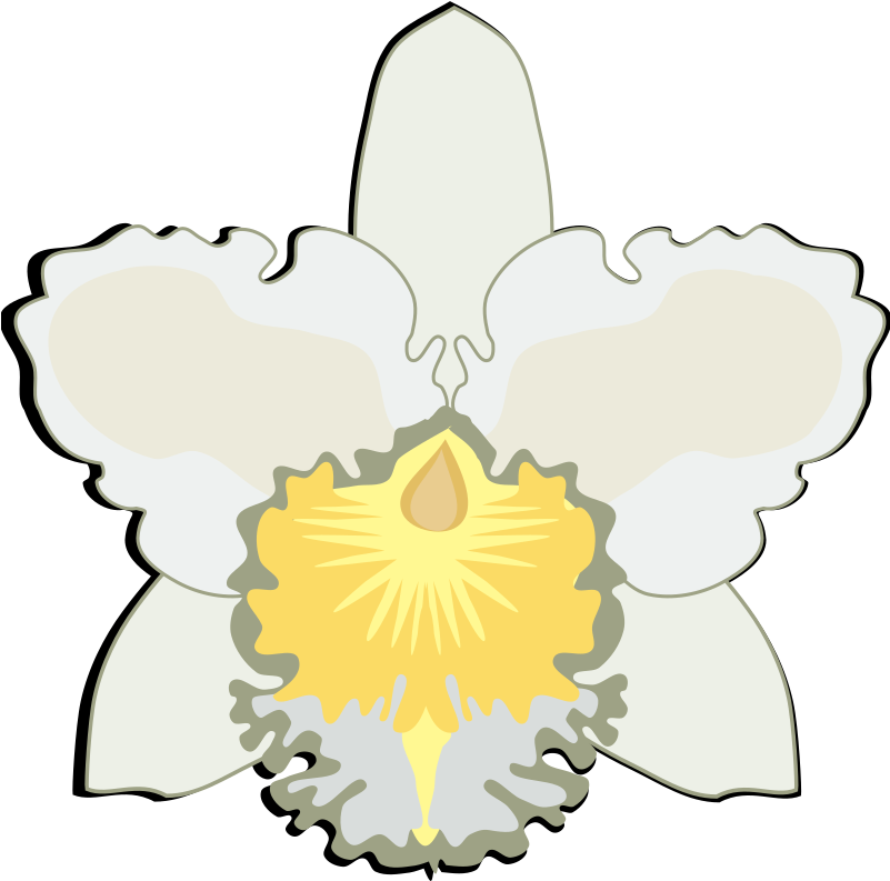 High Quality, Easy To Use, Free Support - Orchids Clipart (800x800), Png Download