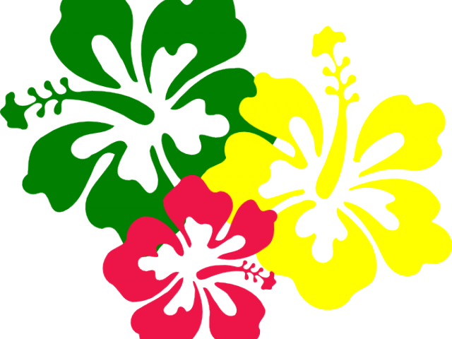 Yellow Flower Clipart Gumamela - Hibiscus Clip Art - Png Download (640x480), Png Download