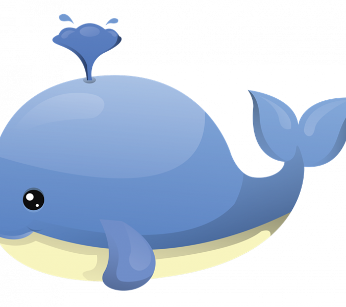 Cartoon Pics Cute Clipartfest Pinterest Clip Art - Whale Clipart - Png Download (678x600), Png Download