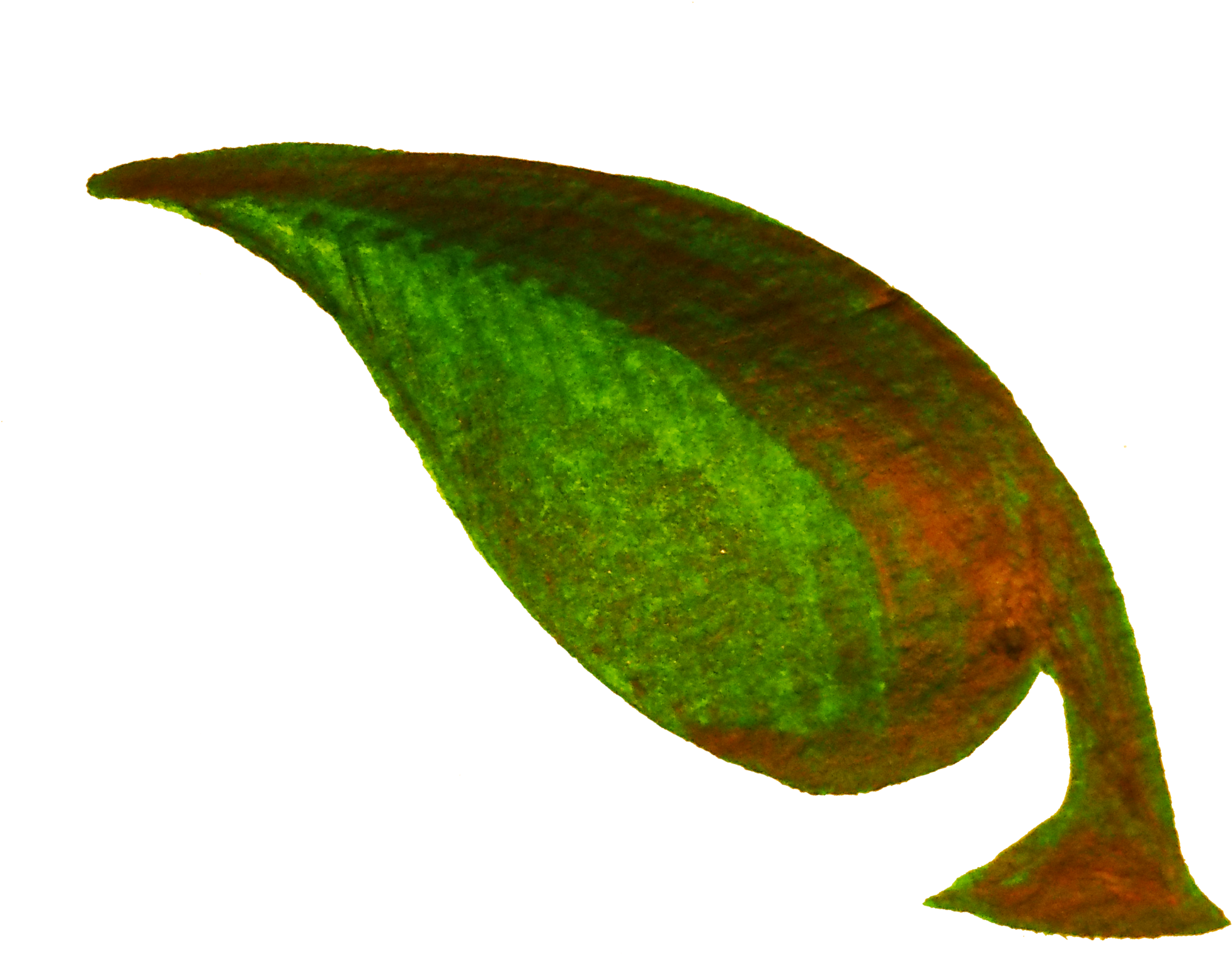 Big Image - Clipart Leaves And Twigs - Png Download (2400x2400), Png Download